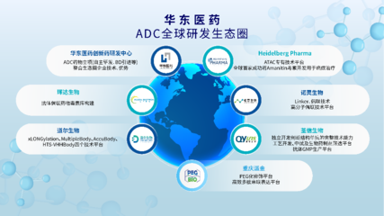 華東醫藥Heidelberg Pharma股權投資交易全部完成,加速布局ADC藍海賽道