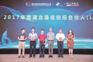 投資改革增引力，資本匯聚強(qiáng)產(chǎn)業(yè)——投資控股的發(fā)展新路徑